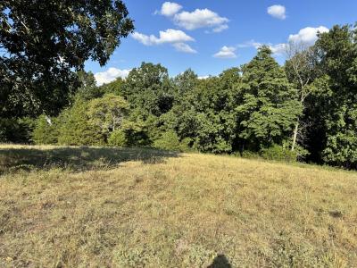 000 Center Road, Ozark, Missouri 65721, Estados Unidos