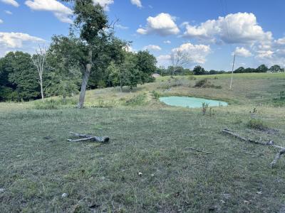 000 Center Road, Ozark, Missouri 65721, Estados Unidos