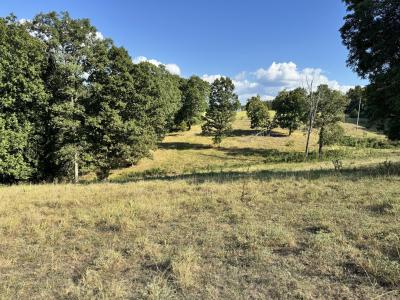 000 Center Road, Ozark, Missouri 65721, Estados Unidos