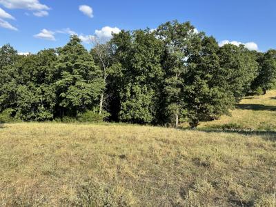 000 Center Road, Ozark, Missouri 65721, Estados Unidos