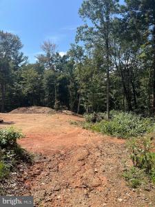 TBD Dry Creek Road, Luray, Virgínia 22835, Estados Unidos