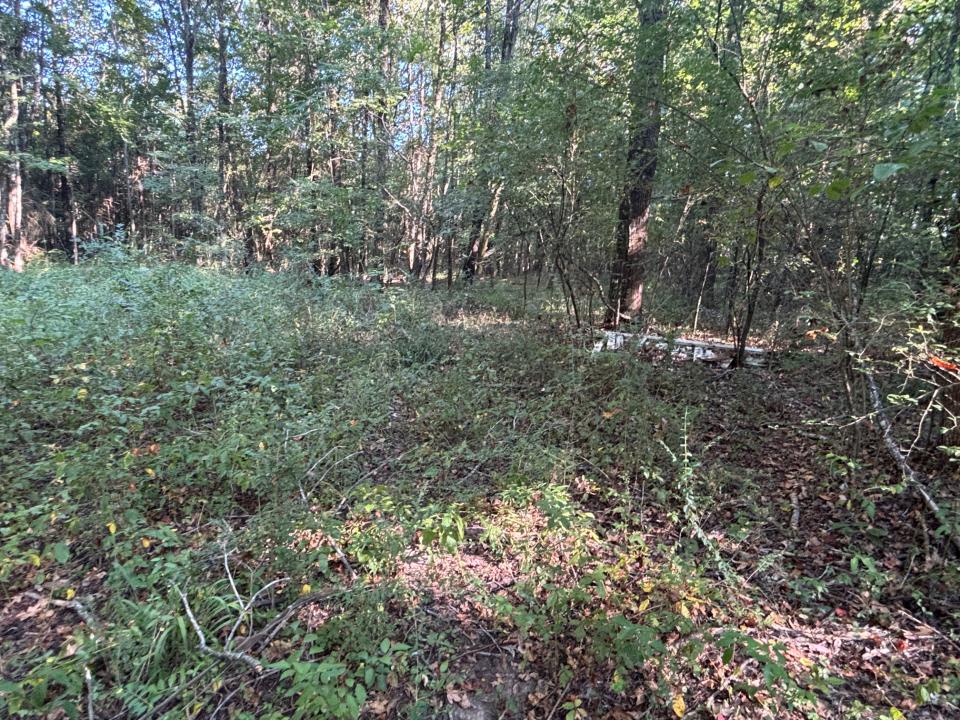 183 J and J Lane, Austin, ארקנסו 72007, ארצות הברית של אמריקה 