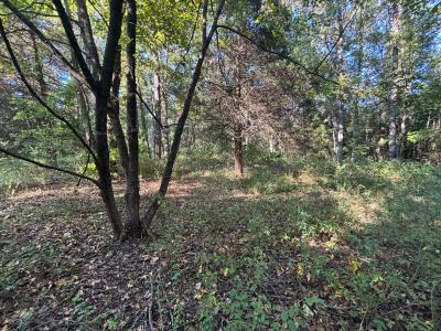 183 J and J Lane, Austin, ארקנסו 72007, ארצות הברית של אמריקה 