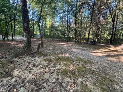 183 J and J Lane, Austin, ארקנסו 72007, ארצות הברית של אמריקה 