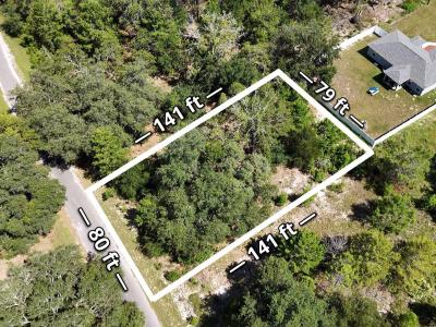 Malauka Track, OCKLAWAHA, Florida 32179, Estados Unidos