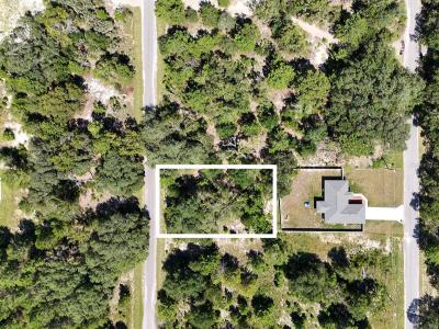 Malauka Track, OCKLAWAHA, Florida 32179, Estados Unidos