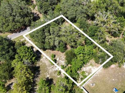 Malauka Track, OCKLAWAHA, Florida 32179, Estados Unidos