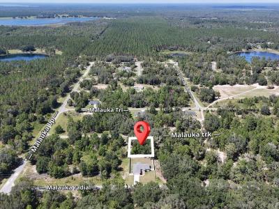 Malauka Track, OCKLAWAHA, Florida 32179, Estados Unidos