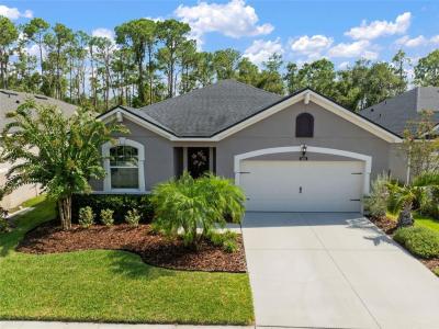 13223 Baby Belle Drive, Riverview, Florida 33579, USA