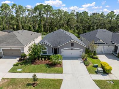 13223 Baby Belle Drive, Riverview, Florida 33579, Stati Uniti
