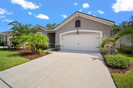 13223 Baby Belle Drive, Riverview, Florida 33579, Stati Uniti