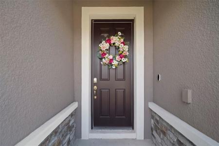 13223 Baby Belle Drive, Riverview, Florida 33579, Stati Uniti