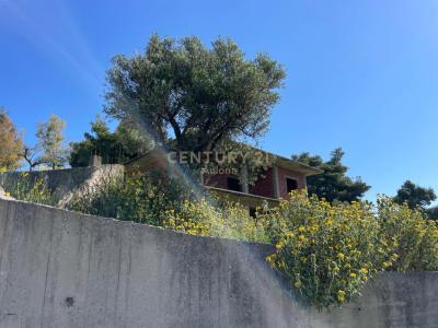 Spitali, Vlorë, Albania