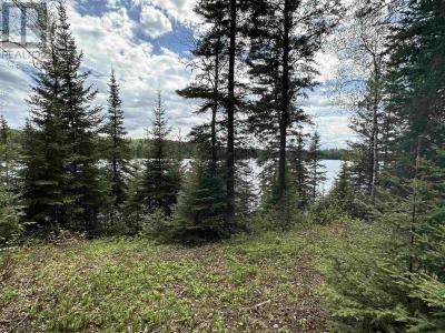 PT 1 & 3 SNIB LK, Red Lake, Ontario P0V 2M0, Canada