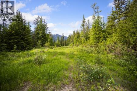 LOT 48 CRAWFORD CREEK ROAD, Crawford Bay, British Columbia V0B 1E0, Canada