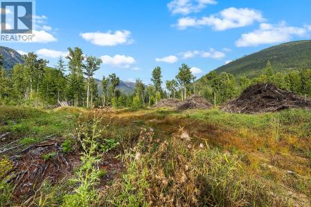 LOT A WADDS ROAD, Crawford Bay, Colombie-Britannique V0B 1E0, Canada