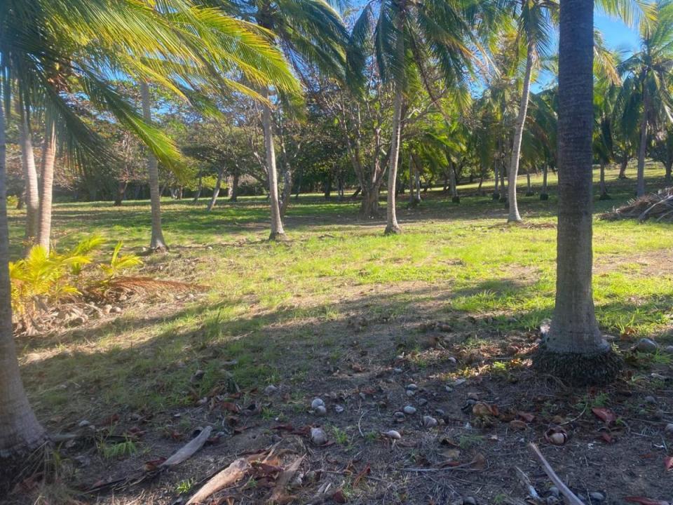 La Cruz La Cruz, Guanacaste 00001, Costa Rica