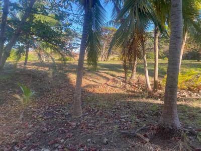 La Cruz La Cruz, Guanacaste 00001, Costa Rica