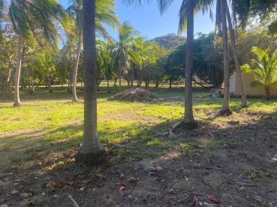 La Cruz La Cruz, Guanacaste 00001, Costa Rica