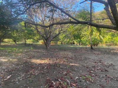 La Cruz La Cruz, Guanacaste 00001, Costa Rica