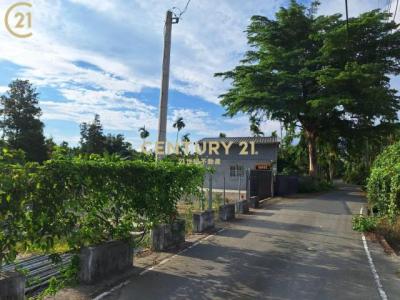 東勢段, Neipu Township, Pingtung County 912, 대만