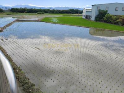 同安南巷, Nantun Dist., Đài Trung 408, Đài Loan