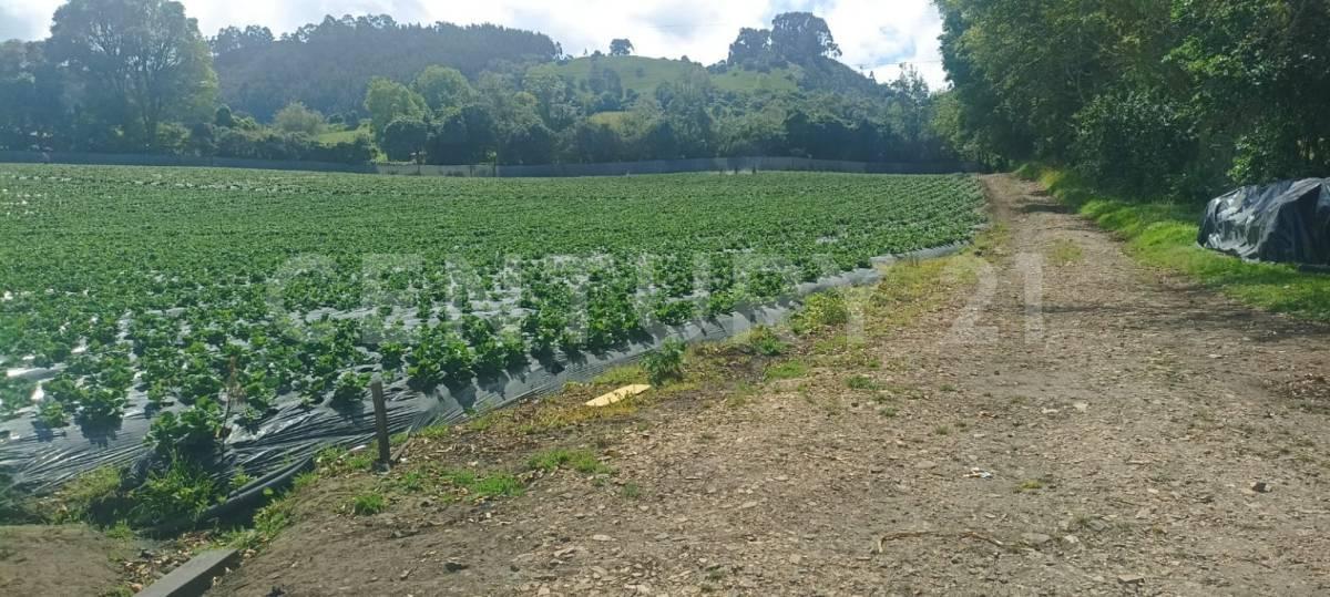 Subachoque, Cundinamarca 00001, Colombia