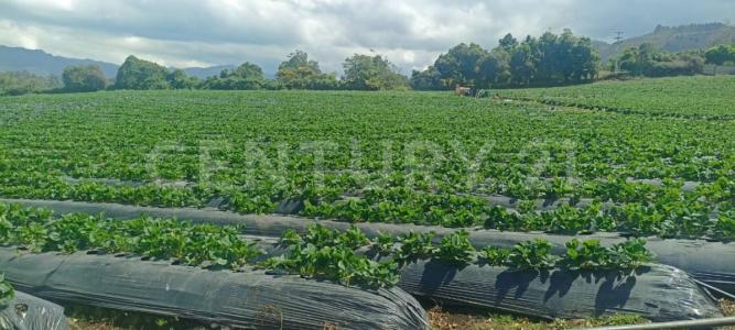 Subachoque, Cundinamarca 00001, Colombia