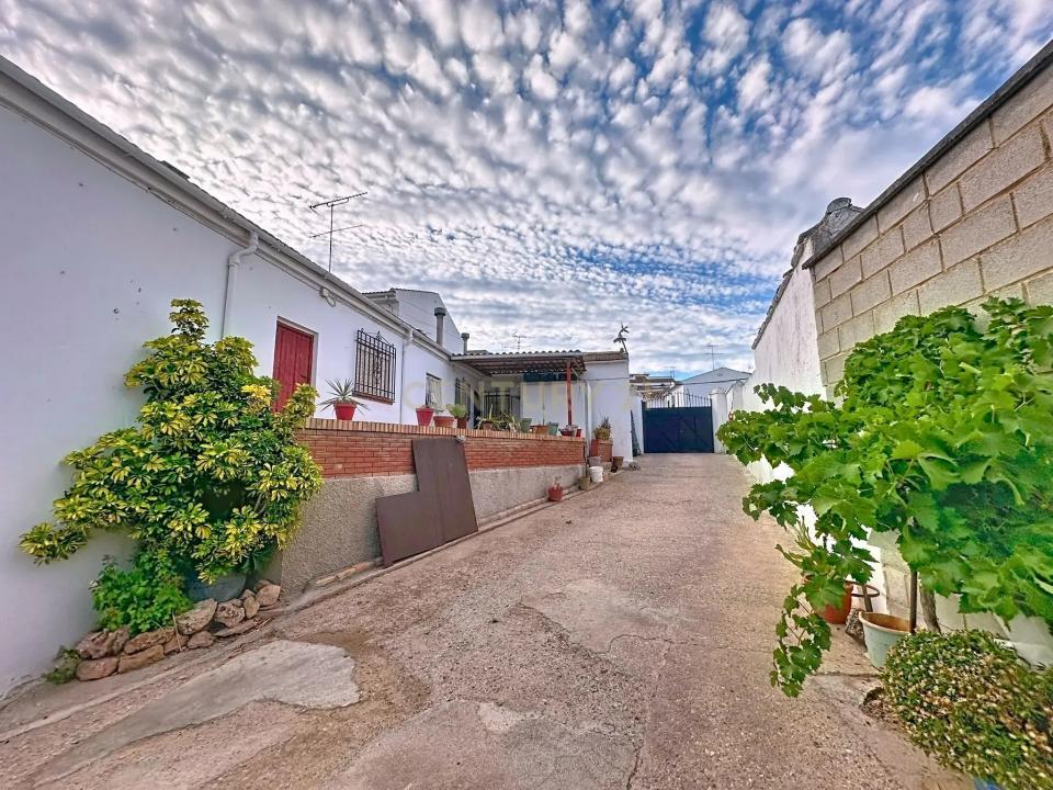 Malaga, Andalucía 29532, Spanien