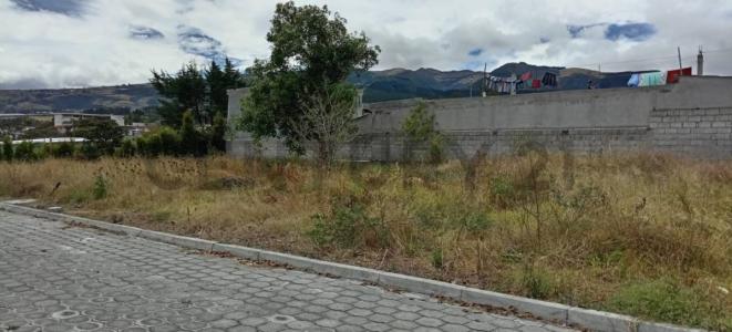 Cayambe, Pichincha 00001, Ecuador