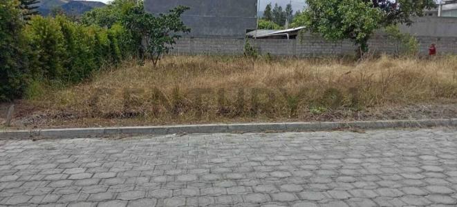 Cayambe, Pichincha 00001, Ecuador