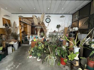 Marcos Sastre 3192, Villa Del Parque, Capital Federal 00001, Argentina