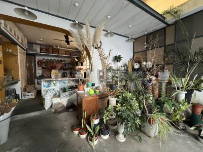 Marcos Sastre 3192, Villa Del Parque, Capital Federal 00001, Argentina