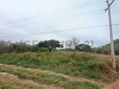 Este, Santa Cruz 00001, 玻利维亚