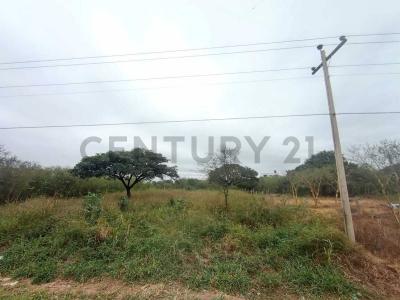 Este, Santa Cruz 00001, 玻利维亚