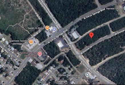 1675 W Donner Drive, Citrus Springs, Florida 34434, Estados Unidos