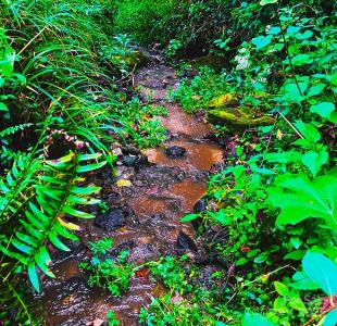 81 Jericho Drive, Tryon, Carolina Del Norte 28782, Estados Unidos