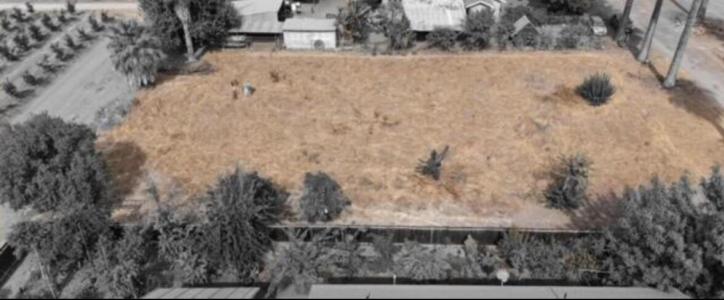 Apia Street, Lindsay, 加州 93247, 美國