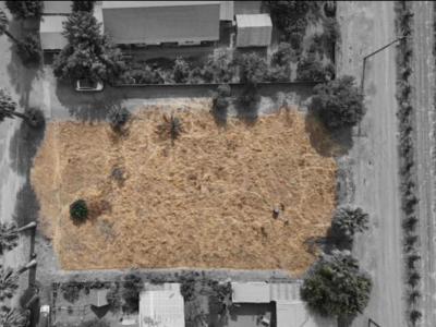 Apia Street, Lindsay, 加州 93247, 美國