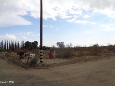 165 Ste E Ave. W12 Street APN 3036-015-025, Palmdale, California 93591, USA