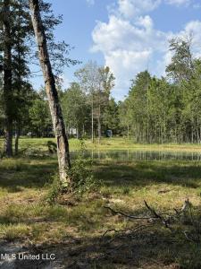 400-B New Hope Road, Wiggins, מיסיסיפי 39577, ארצות הברית של אמריקה