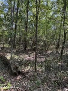 400-B New Hope Road, Wiggins, מיסיסיפי 39577, ארצות הברית של אמריקה