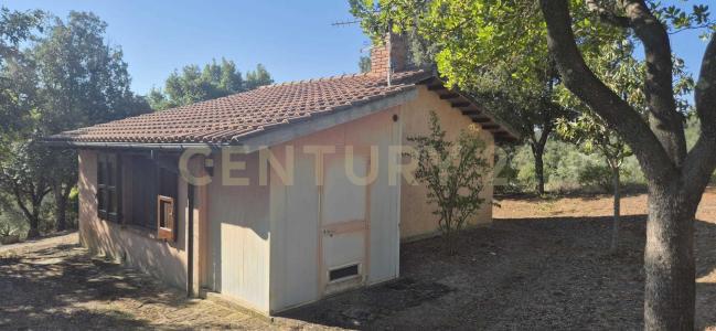 località poggio al capraio, Roccastrada, Toscana 58036, 義大利