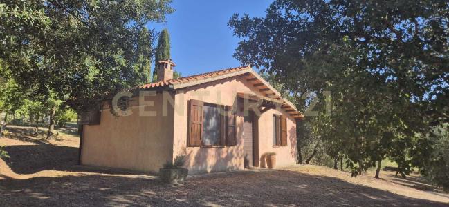 località poggio al capraio, Roccastrada, Toscana 58036, 義大利