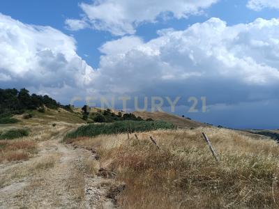 Località Podere Scarpetta, Radicofani, Toscana 53040, Italia