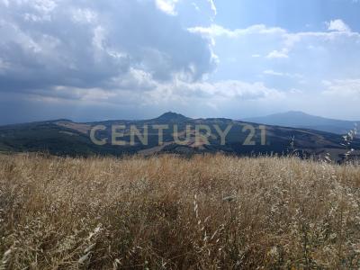 Località Podere Scarpetta, Radicofani, Toscana 53040, Italia