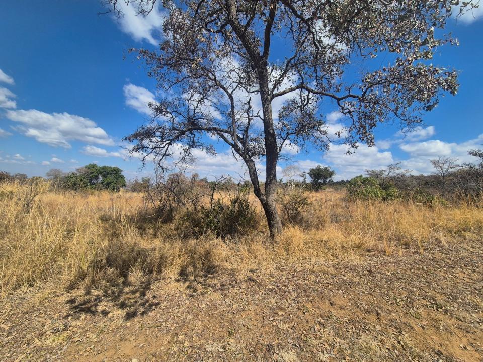 Mookgopong, Limpopo, África Do Sul