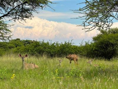 Mookgopong, Limpopo, África Do Sul