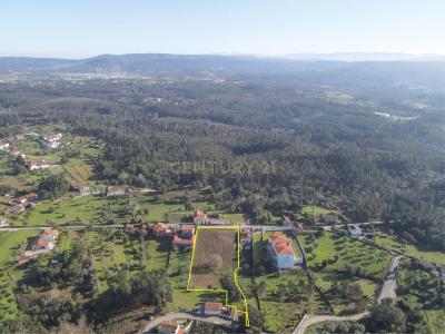 Vila Nova De Poiares, コインブラ 3351-001, ポルトガル