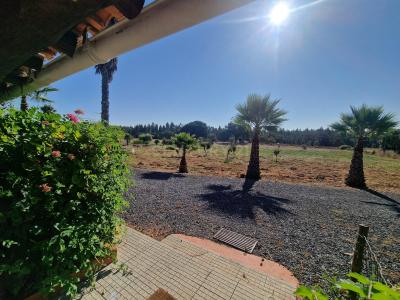 Santiago Do Cacém, Setubal 7540-401, Portugal